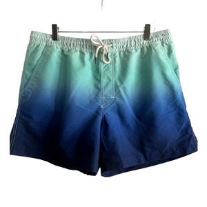 NWT American Eagle Men's Lined 5.5" Swim Trunks - Size Large